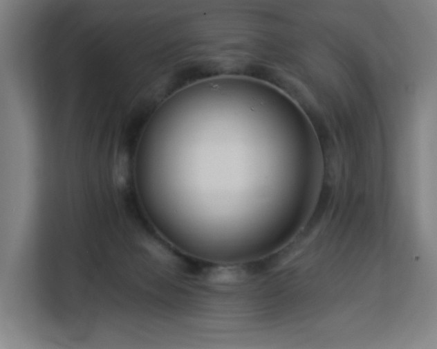 X0000112930077200908311326