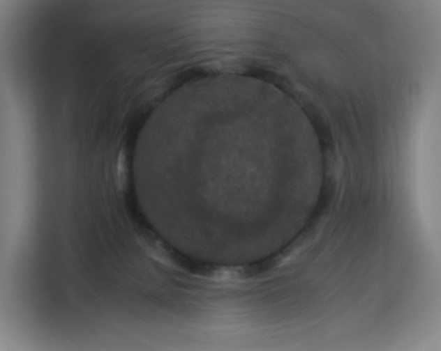 X0000112930080200908311326