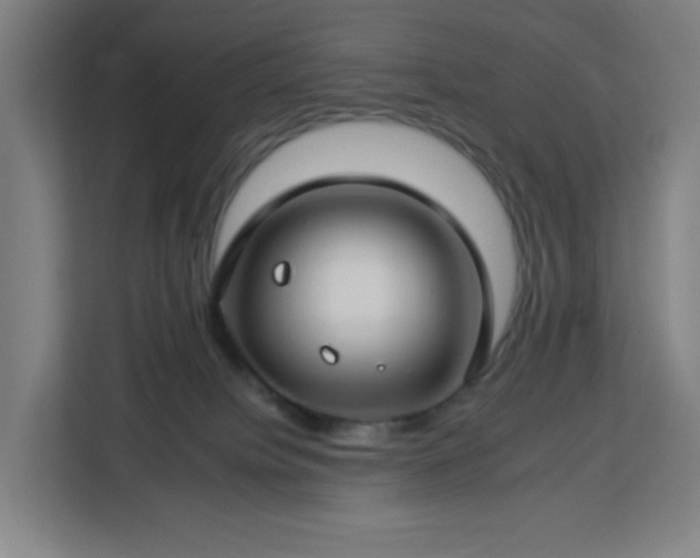 X0000112930084200908311326