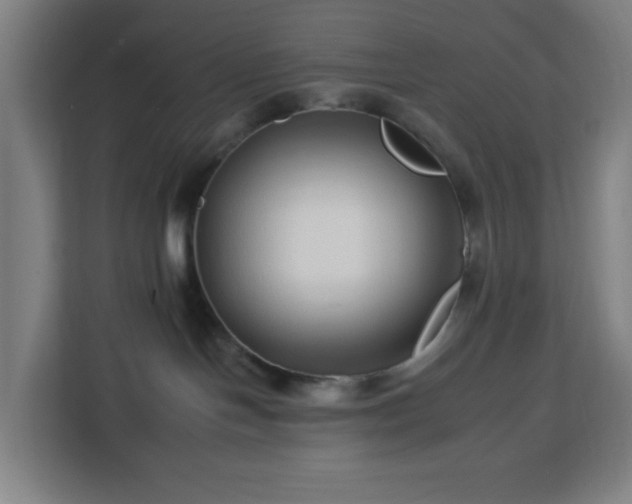 X0000112930094200908311326