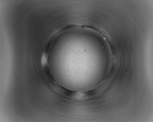 X0000112930095200908311326