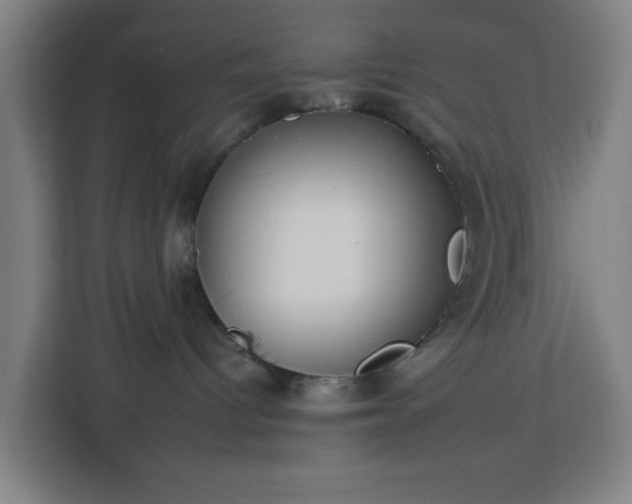 X0000112930096200908311326