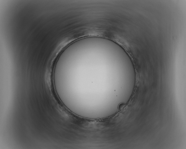 X0000112930098200908311325