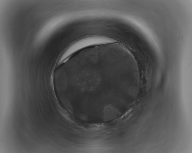 X0000112930099200908311325