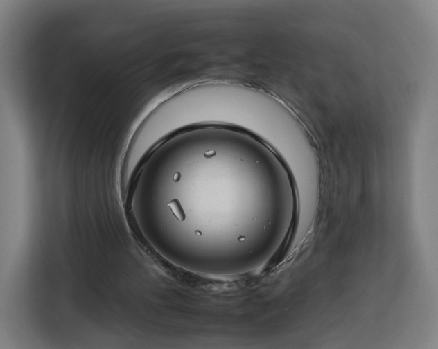 X0000112930100200908311325