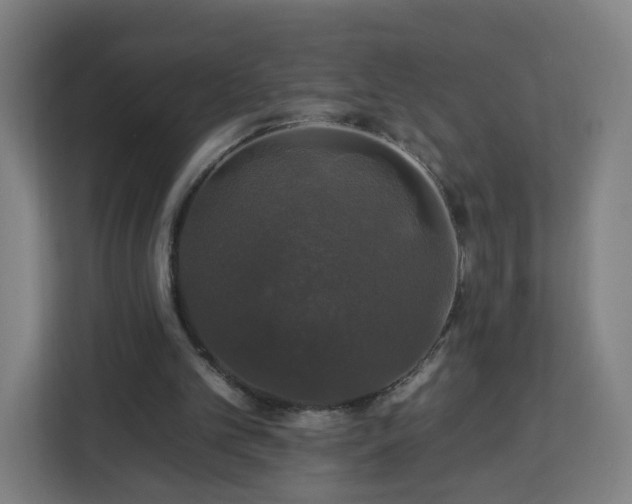 X0000112930101200908311325