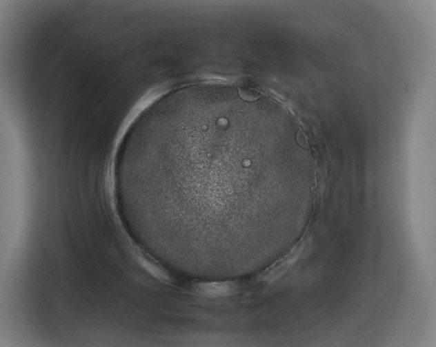 X0000112930102200908311325