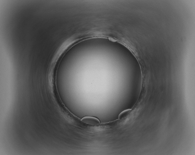 X0000112930103200908311325