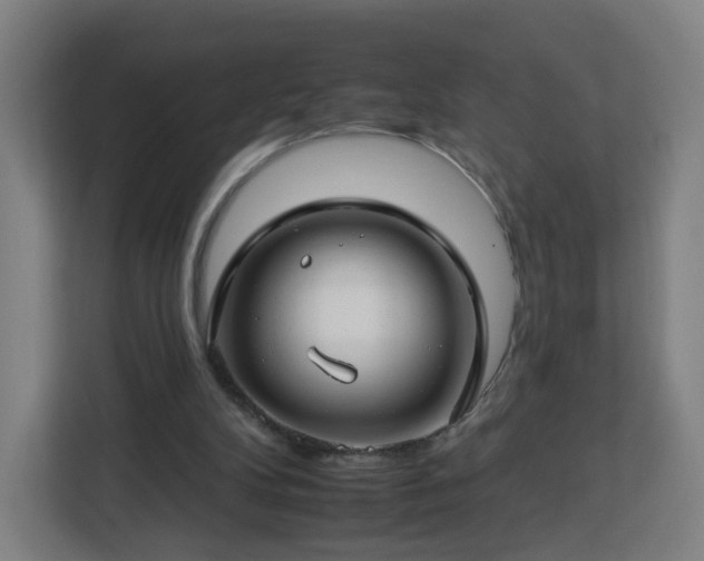 X0000112930104200908311325