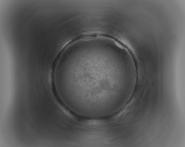 X0000112930105200908311325