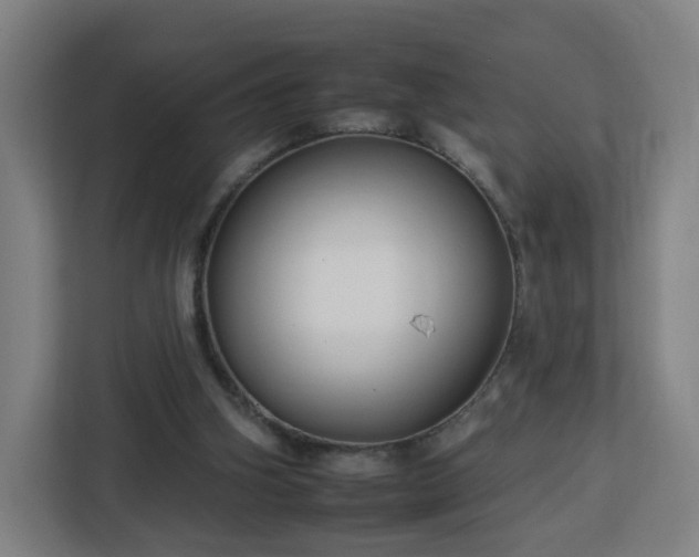 X0000112930106200908311325