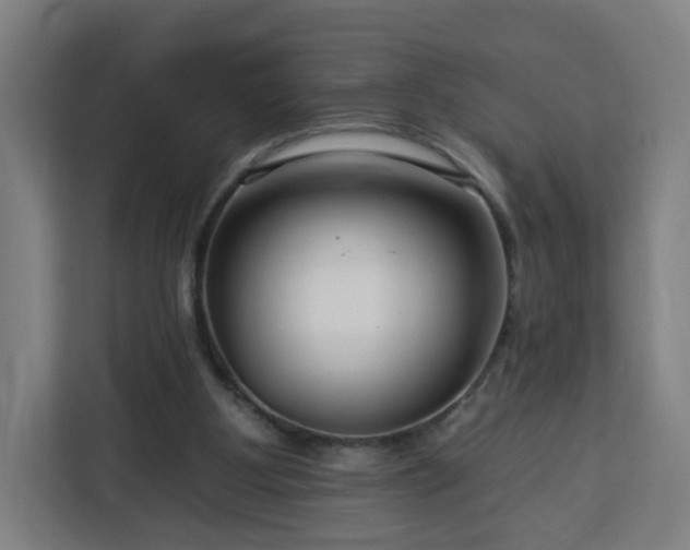 X0000112930107200908311325