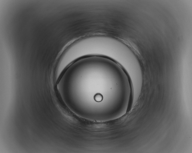 X0000112930108200908311325