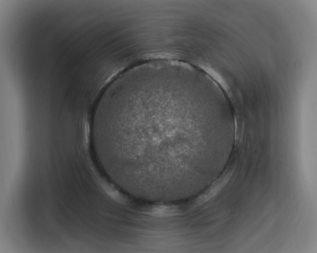 X0000112930109200908311325