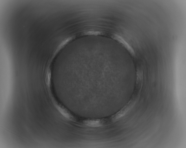 X0000112930110200908311325