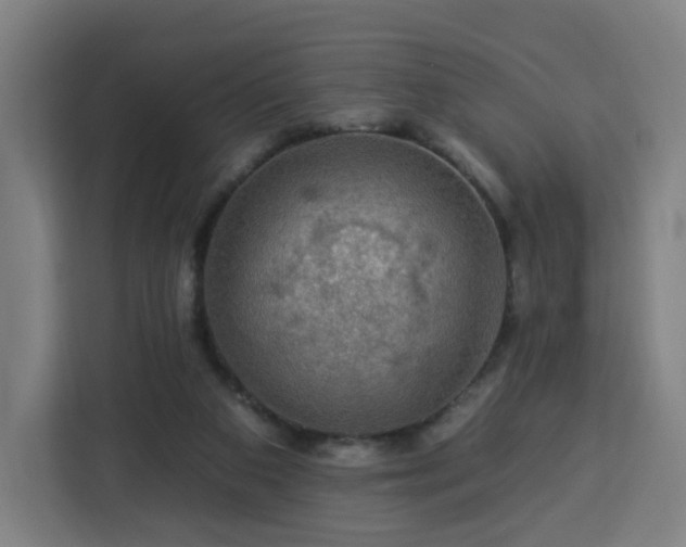 X0000112930113200908311325