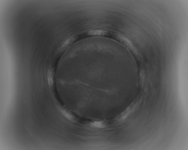 X0000112930114200908311325