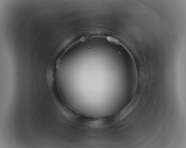 X0000112930116200908311325