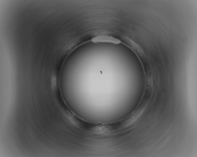 X0000112930117200908311325