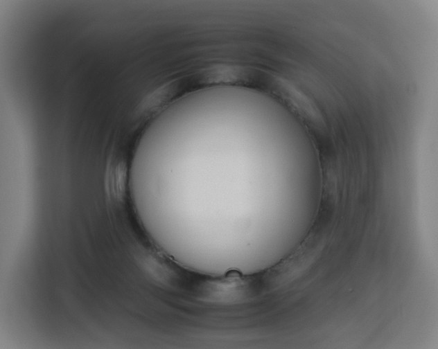 X0000112930118200908311325