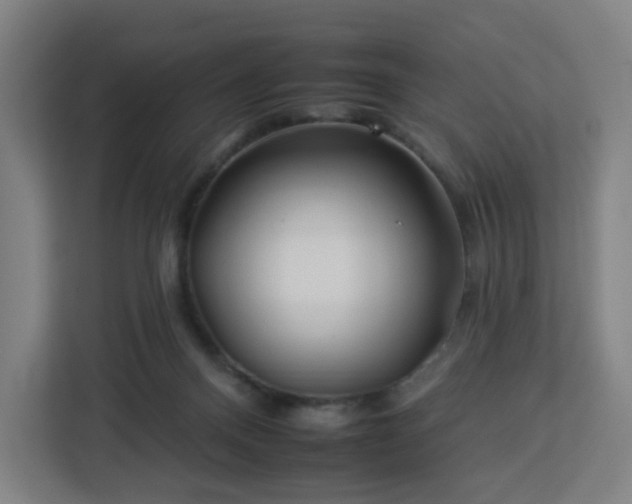 X0000112930120200908311325