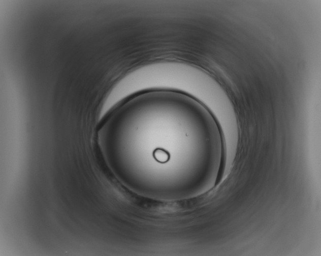 X0000112930124200908311325