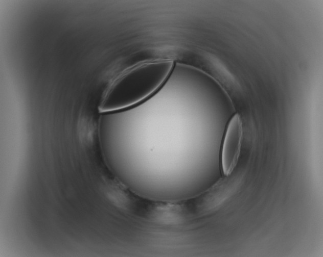 X0000112930125200908311325