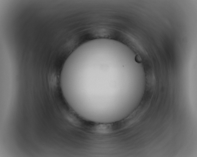 X0000112930126200908311325