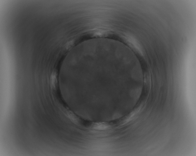 X0000112930127200908311325