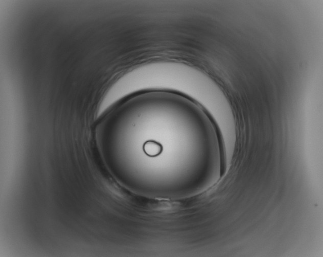 X0000112930128200908311325