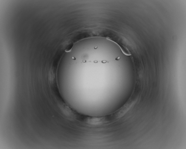 X0000112930129200908311325