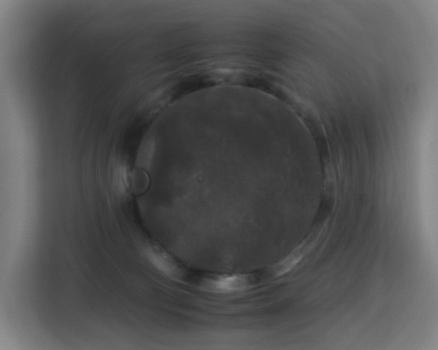 X0000112930130200908311325