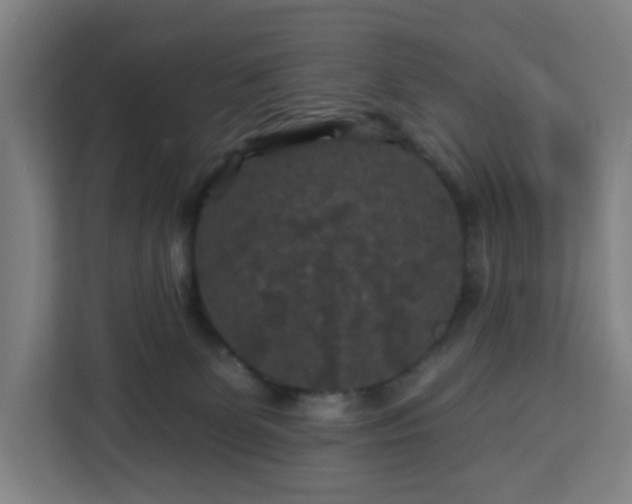 X0000112930131200908311325