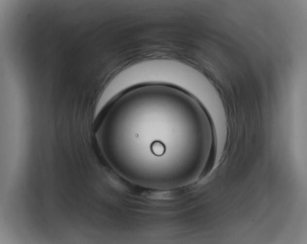 X0000112930132200908311325