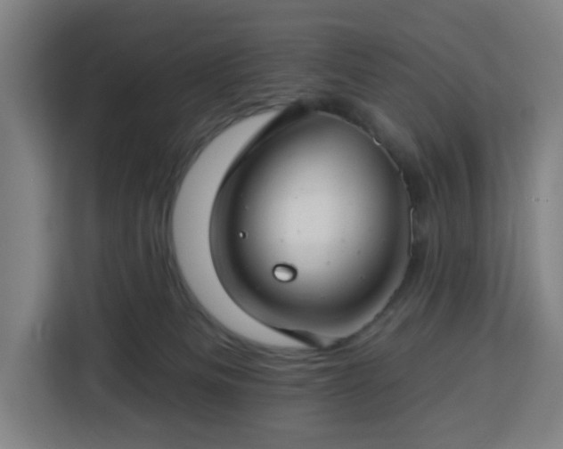 X0000112930133200908311325