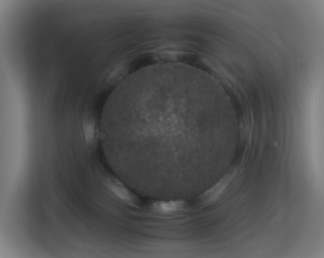 X0000112930134200908311325