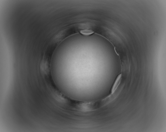 X0000112930136200908311325