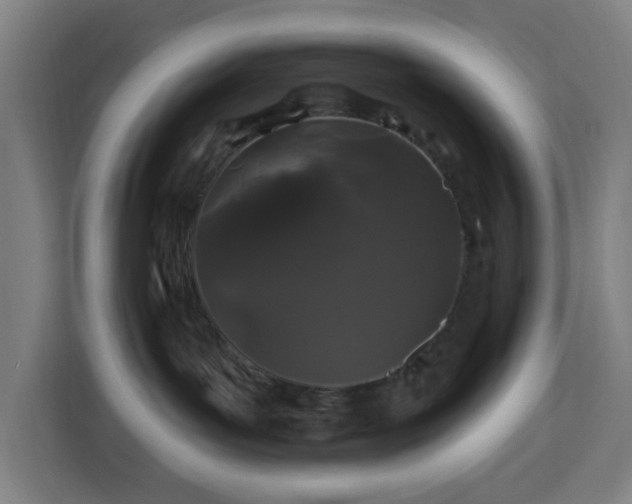 X0000112930143200908311325