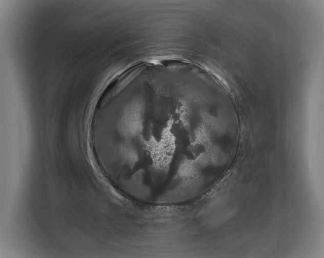 X0000112930145200908311324