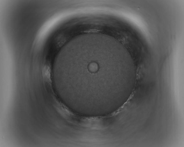 X0000112930146200908311324