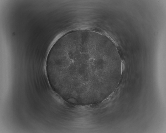 X0000112930147200908311324