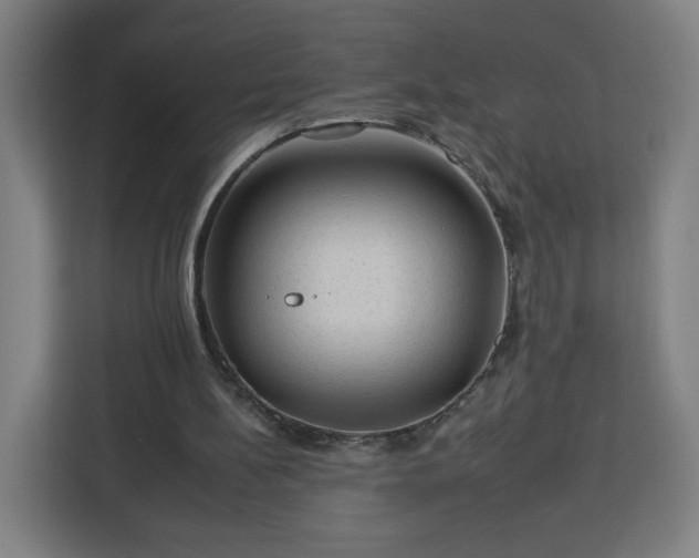 X0000112930148200908311324