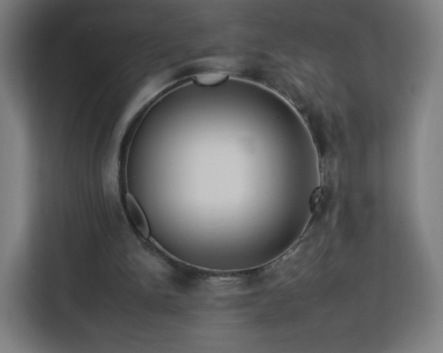 X0000112930150200908311324