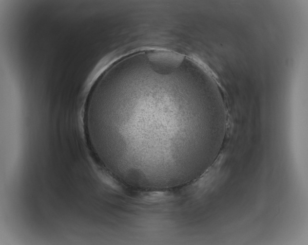 X0000112930151200908311324