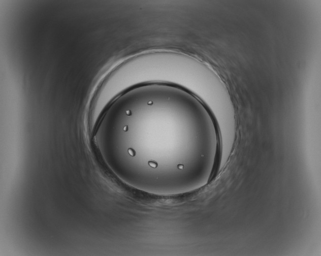 X0000112930152200908311324