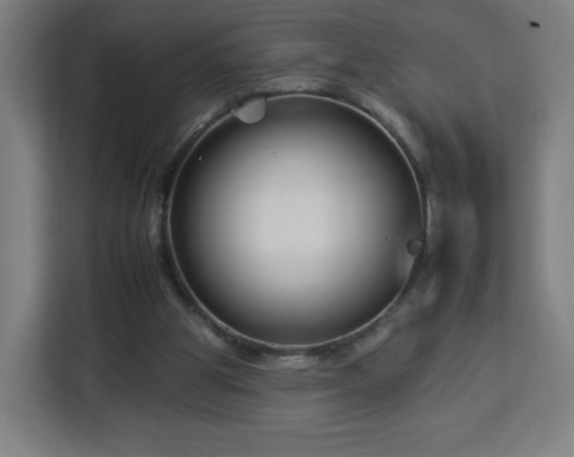 X0000112930153200908311324