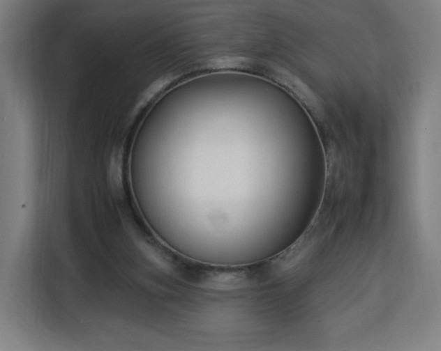 X0000112930155200908311324