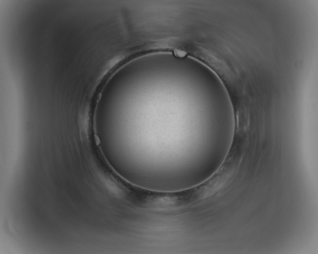 X0000112930156200908311324