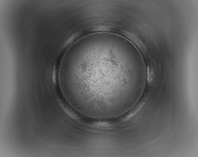 X0000112930157200908311324