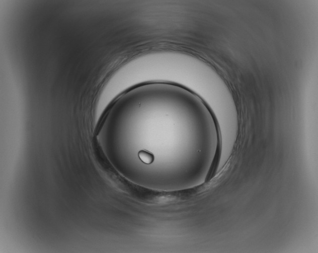 X0000112930158200908311324